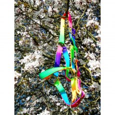 Roma Rainbow Headcollar