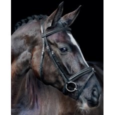 Schockemohle Mannheim Bridle