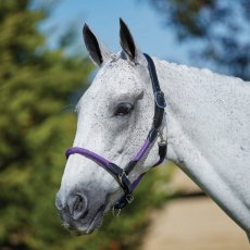 Kincade Leather & Rope Headcollar