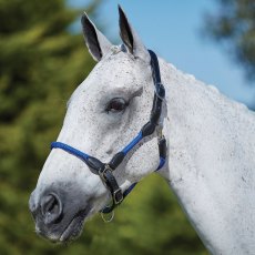 Kincade Leather & Rope Headcollar