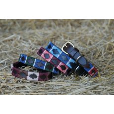 Celtic Equine Chukka Dog Collar