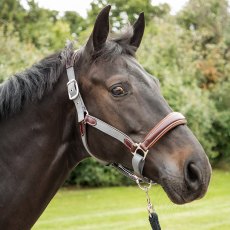 KM Elite Leather & Webbing Headcollar