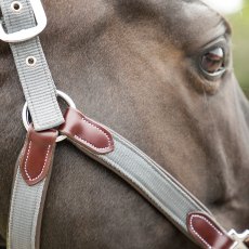 KM Elite Leather & Webbing Headcollar