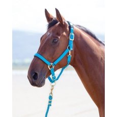 Shires Nylon Padded Headcollar