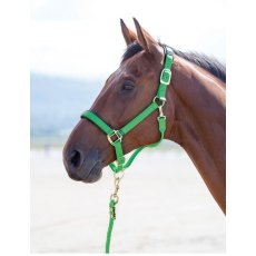 Shires Nylon Padded Headcollar