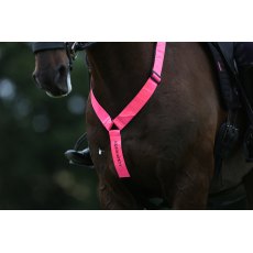 Equisafety Adjustable Horse Neck Band Pink