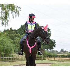 Equisafety Adjustable Horse Neck Band Pink