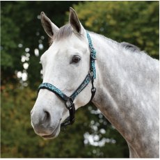 Weatherbeeta Leopard Headcollar