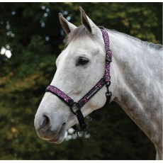 Weatherbeeta Leopard Headcollar