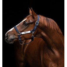 Horseware Field Safe Headcollar