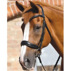 Premier Equine Verdura Anatomic Bridle