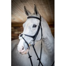 Le Mieux Grackle Bridle