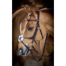 Le Mieux Grackle Bridle