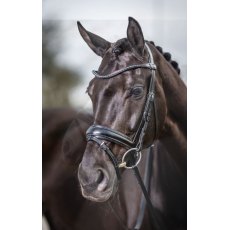 Le Mieux Classic Dressage Bridle