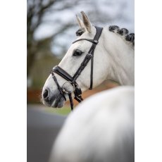 Le Mieux Classic Dressage Bridle