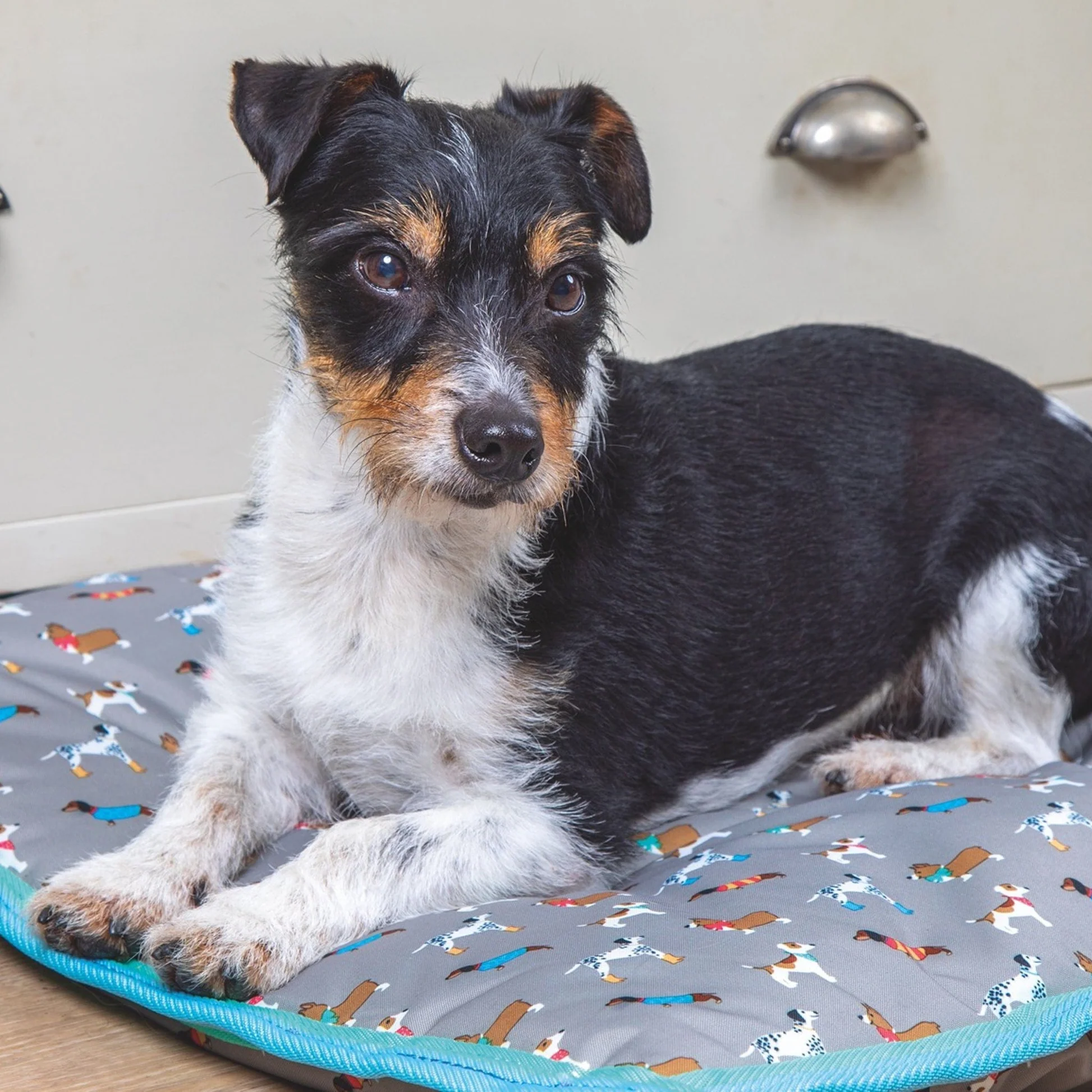 Digby & Fox Waterproof Dog Bed Dogs Print