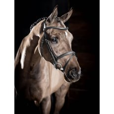 Le Mieux Arika Flash Bridle Black/Silver