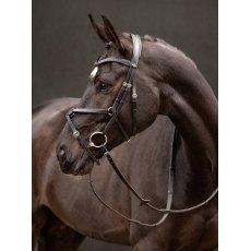 Le Mieux Arika Grackle Bridle Black/Silver