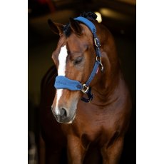 Le Mieux Vogue Headcollar & Leadrope Atlantic