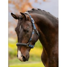 Le Mieux Capella Headcollar Atlantic