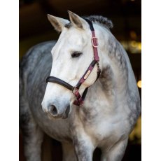 Le Mieux Capella Headcollar Orchid