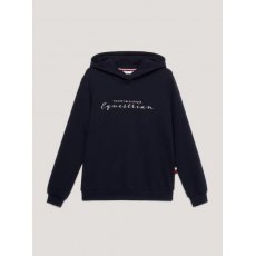 Tommy Hilfiger Metallic Logo Graphic Hoodie Desert Sky