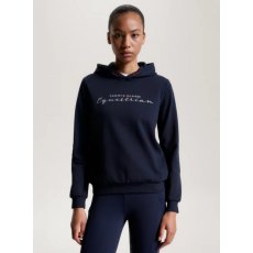 Tommy Hilfiger Metallic Logo Graphic Hoodie Desert Sky