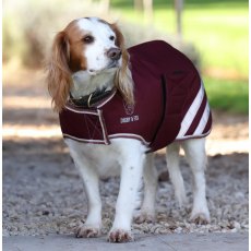 Digby & Fox Waterproof Dog Coat Maroon