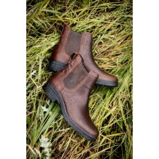 Ariat Women's Langley Waterproof Chelsea Boot Tobacco Brown Ariat Women's Langley Waterproof Chelsea Boot Tobacco Brown