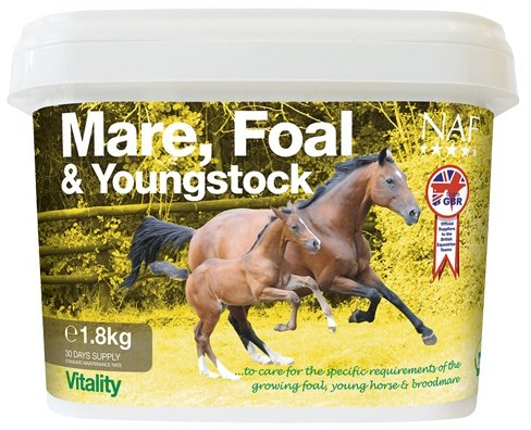 mare-foal-&-youngstock.jpg