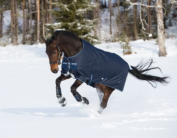 horse running through snow