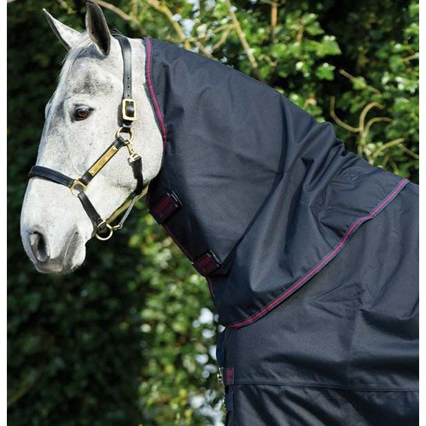 Horse wearing Horseware Amigo Bravo Neck Cover