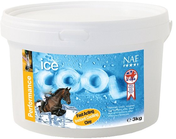 ice-cool.jpg