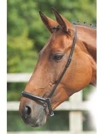 horse wearing kincade drop noseband