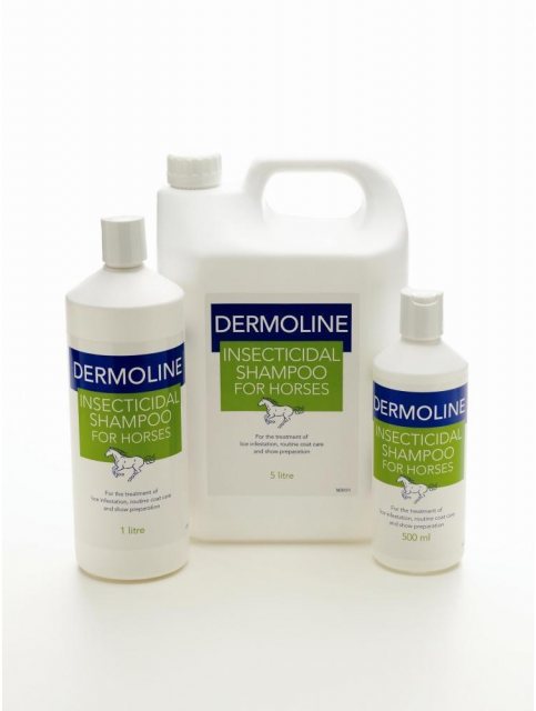 Dermoline Insecticidal Shampoo