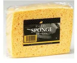 Lincoln Lincoln Sponge