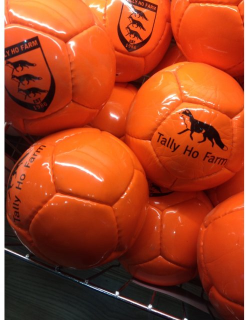 Arena Polo Balls