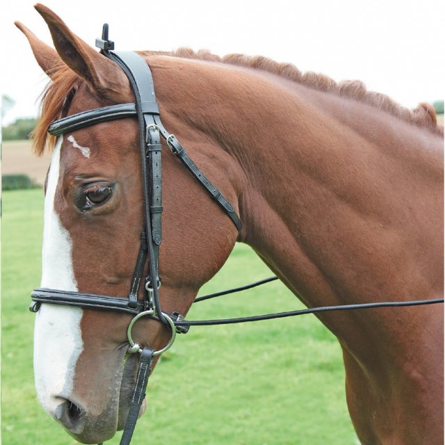 Shires Shires Elastic Training Reins