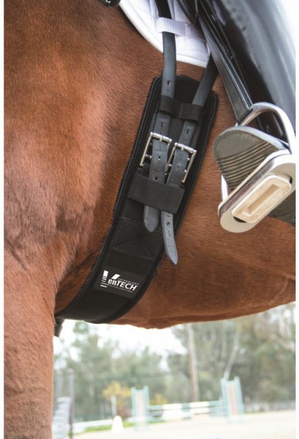 VenTECH Dressage Girth