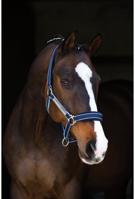 Horseware Horseware Rambo Padded Headcollar