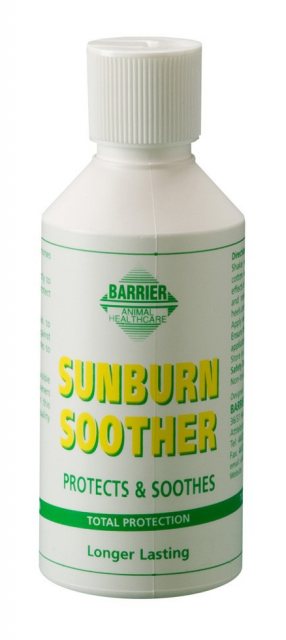 Sunburn Balm for Horses