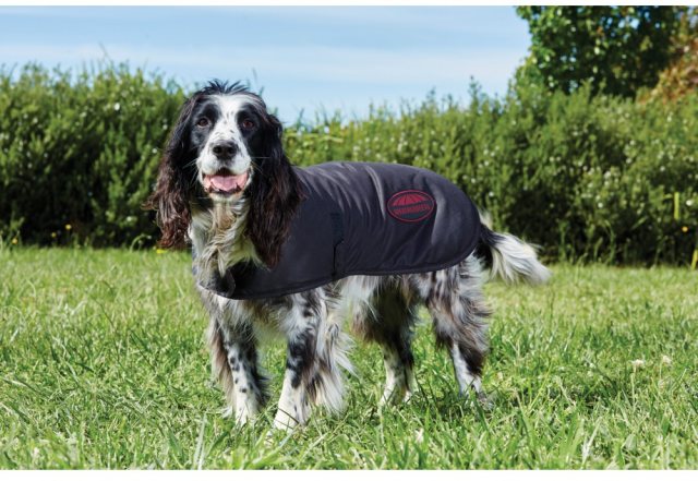 Weatherbeeta Waxed Dog Coat