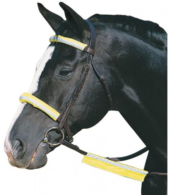 Roma Roma Reflective Bridle Kit