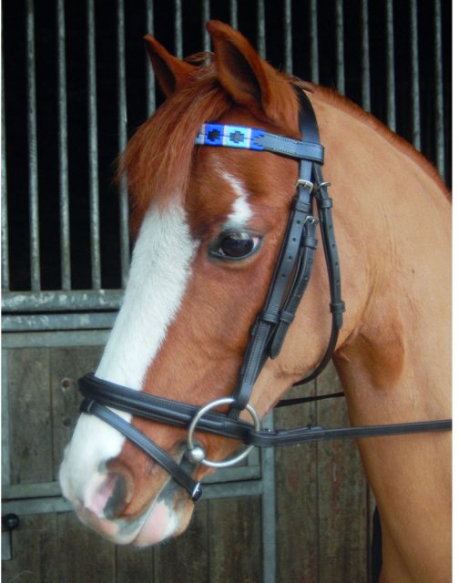 Chukka Browband