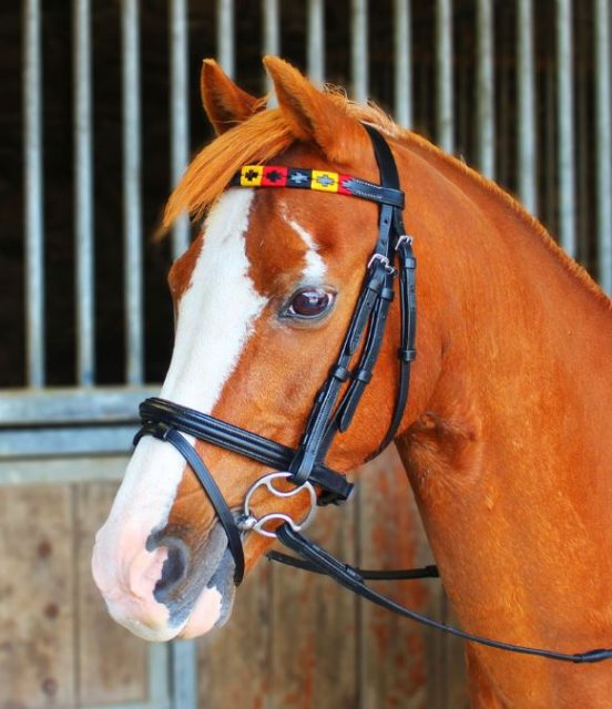 Têtière En Cuir Noir Pour Cheval – Modèle Fresian Par People On Horses, Taille 1 3/4 (3) 16