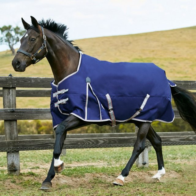Horse galloping in blue stable rug