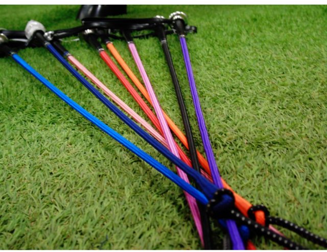 Darley Polo Whip