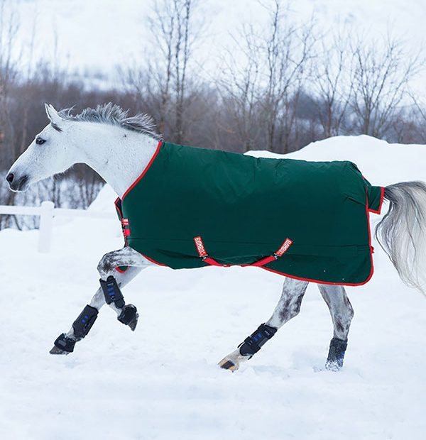 Horse galloping in snow in turnout rug