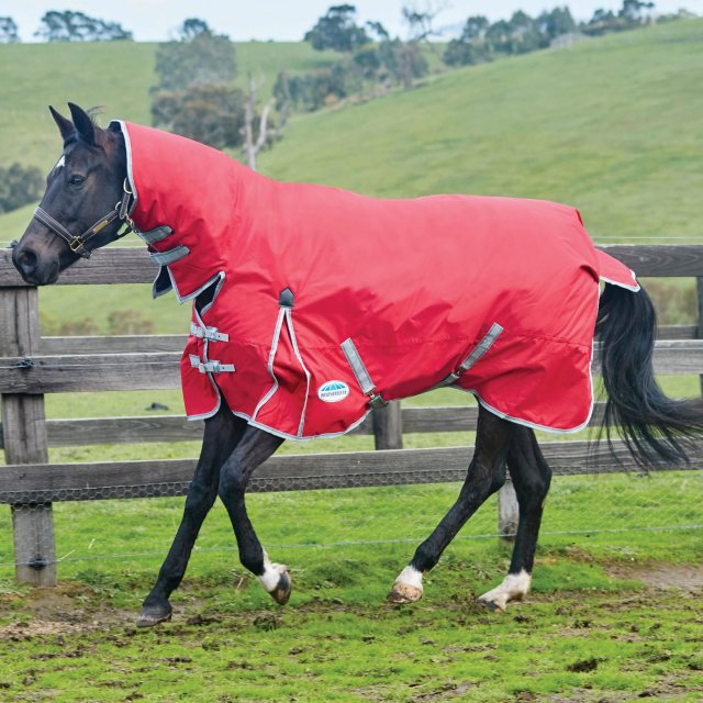 Weatherbeeta Weatherbeeta Comfitec Classic Combo Neck Lite Turnout Rug