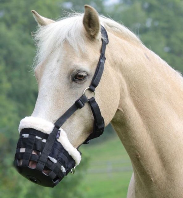 Shires Deluxe Comfort Grazing Muzzle